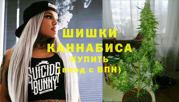 дживик Волосово